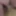 Daily duty of the naked slave #6
