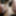 NEW 2019 Pics #50
