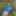 Cover up, reveal #38