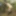 NAKED in the forest - ass SPANKING