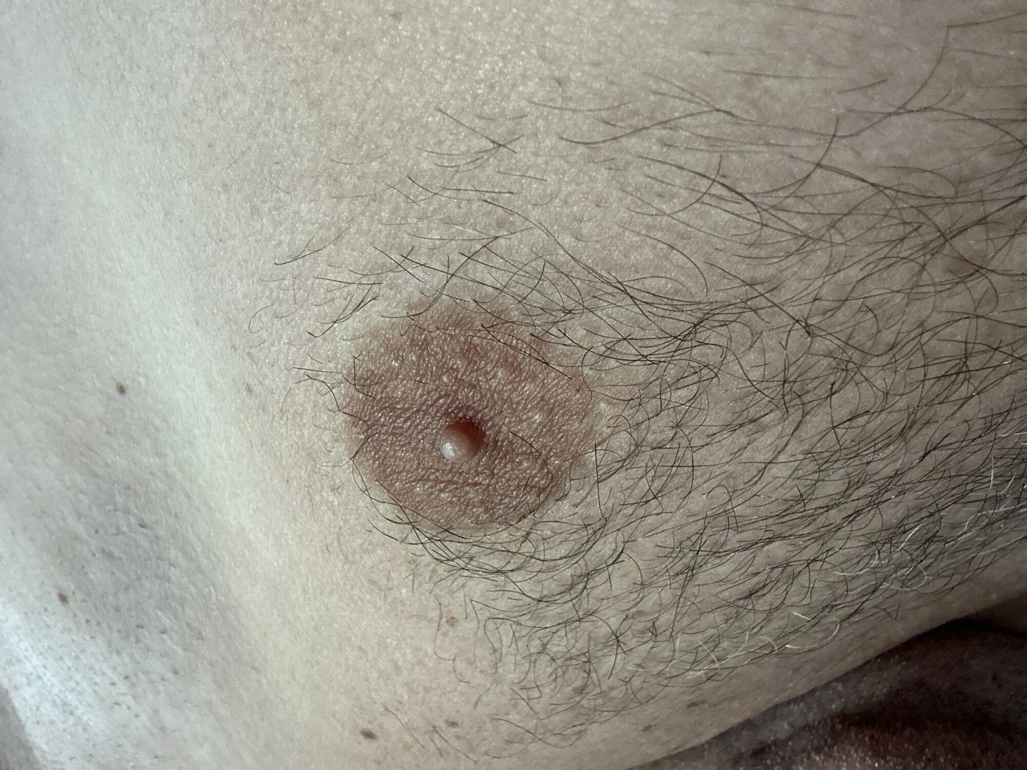 Lick My Nipples #40