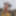 Nudes in the Work 74 #2