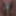 Weighing, Cagecheck, plugcheck September 10/2023 #3