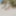 Mlif Muschi nackt am Strand in Mesquida #7