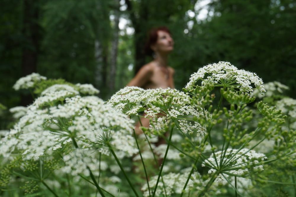 In White Flowers 3 #13