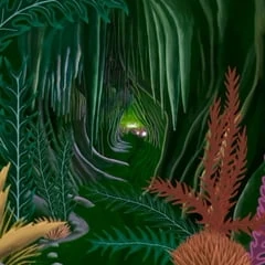 Sex