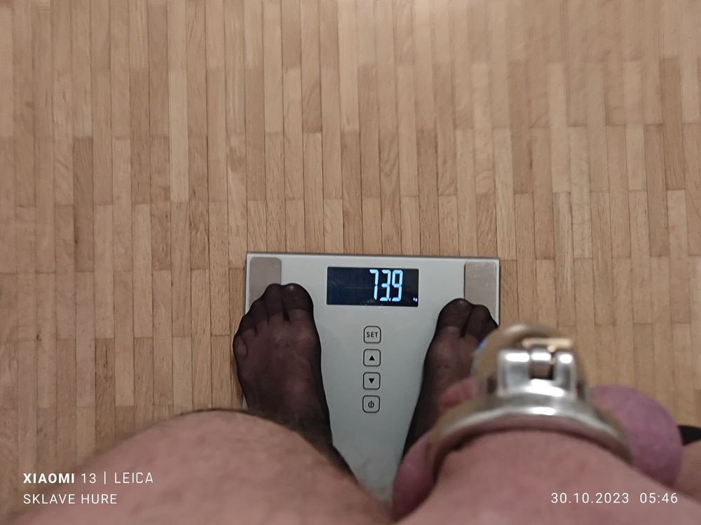 Mandatory weighing cagecheck plugcheck Oktober 30, 2023 #3