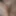 Pussy pics
