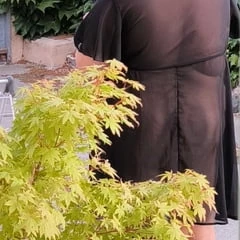 So soll ich ausgehen