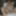 Grandma gets off in the window GIFs #16