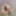 Ücretsiz cloethcute Fotoğrafları