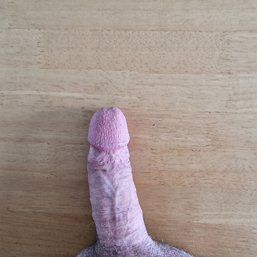 My cock  #3