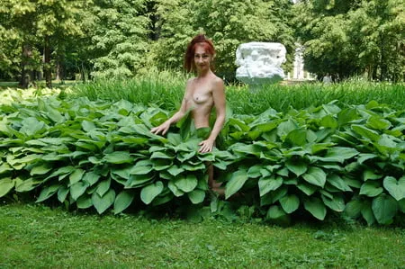 naked in the grass         