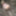 2025年6月
