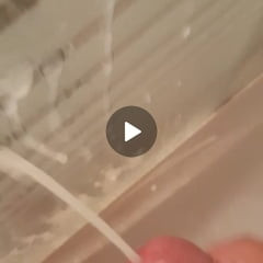 Sperm