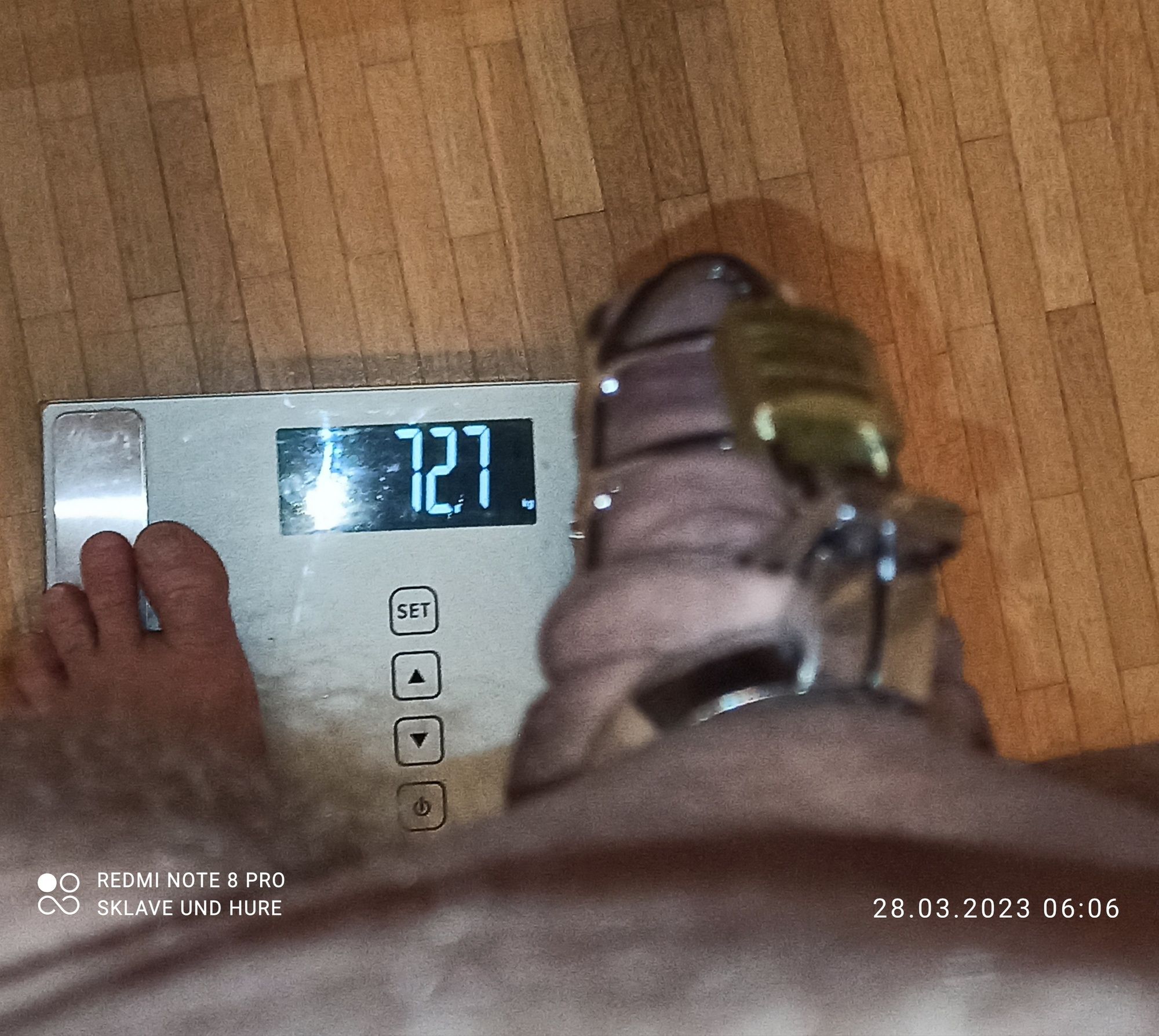 Weighing with cagecheck  #10