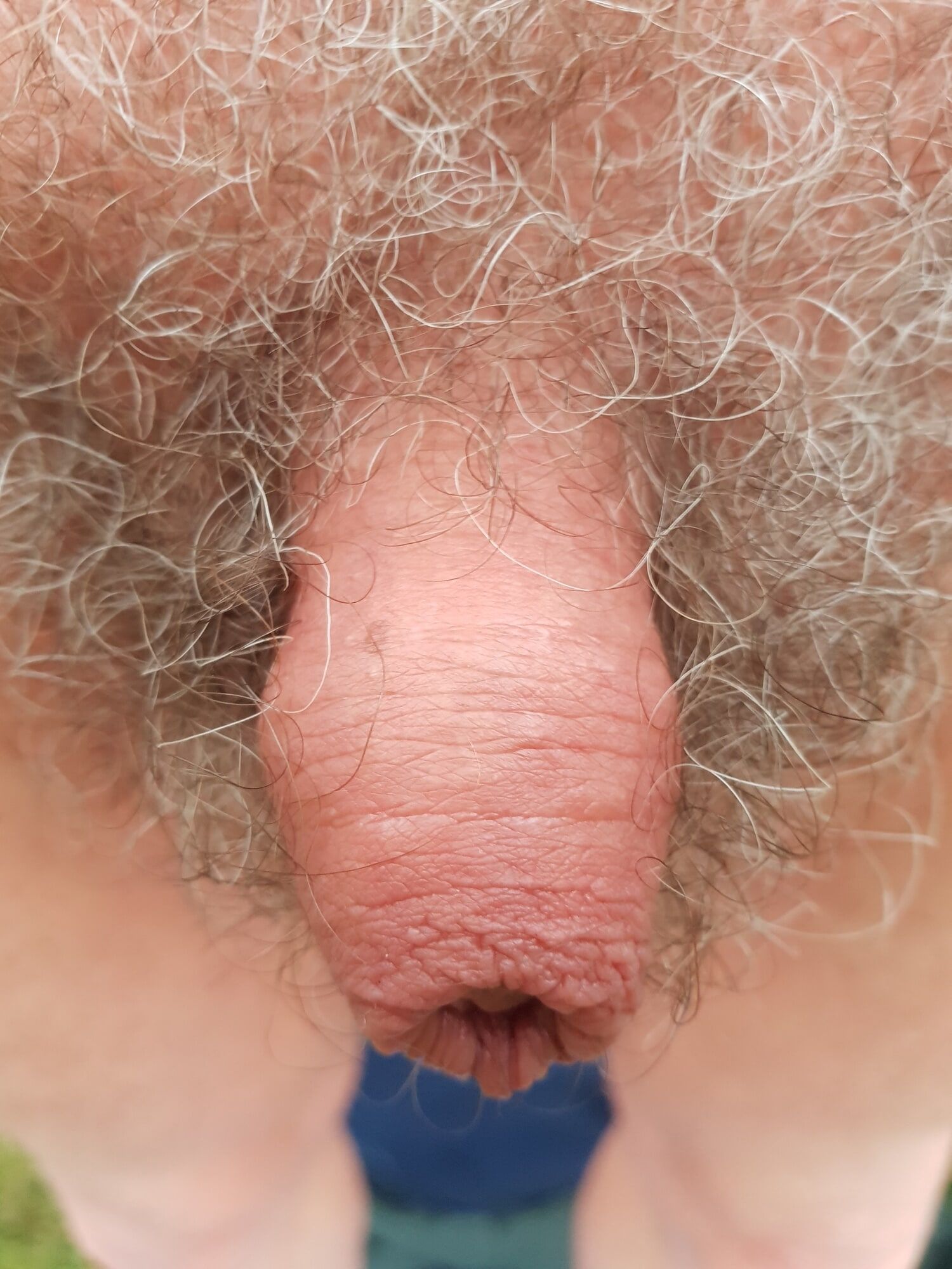 Shrunken cock #23