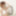 Nozomi Aso :: Tough Creampie - CARIBBEANCOM #9