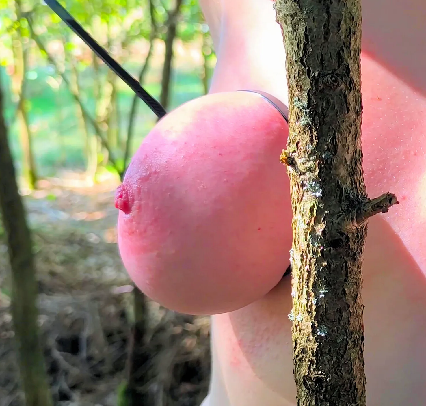 Ihre Titte an den Baum gebunden