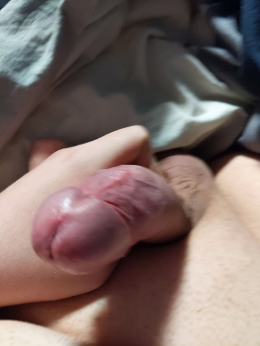 Cock Pictures #32 my cock is dripping #19