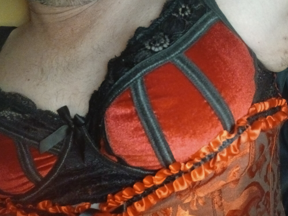 Panties, bra, corset, stockings, and garters belt #18