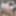 MILF housewife agreed to fuck anal