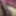 My album an profile pic  #4