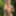 naked forest fairy