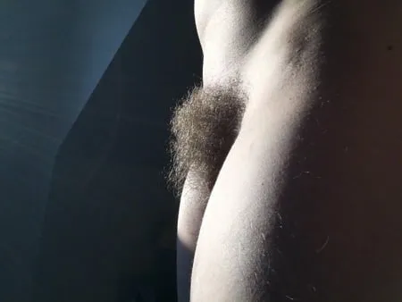 hairy pussy meine behaarte fotze         