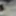Cumshots gallery 