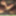 shemale lingerie sounding dildo sissy 4a