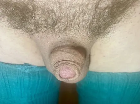 micropenis lady boy cock pic         