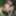 Punk babe Jesyka Diamond posing nude in the jungle #5
