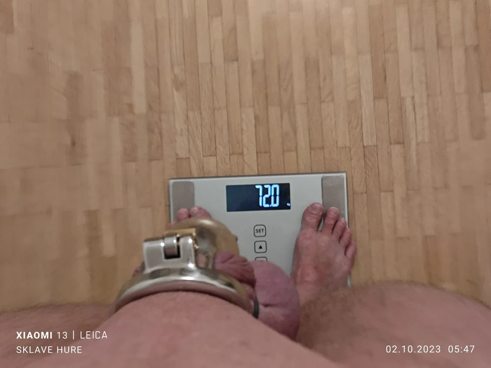 Weighing, Cagecheck, plugcheck Oktober 02, 2023 #5