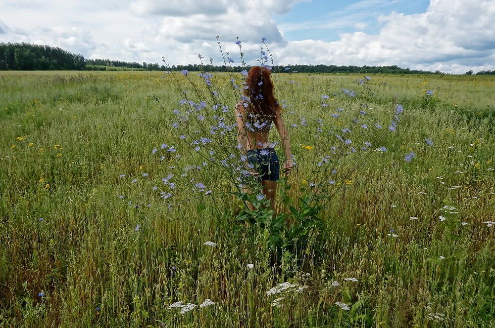 In spring Field #6