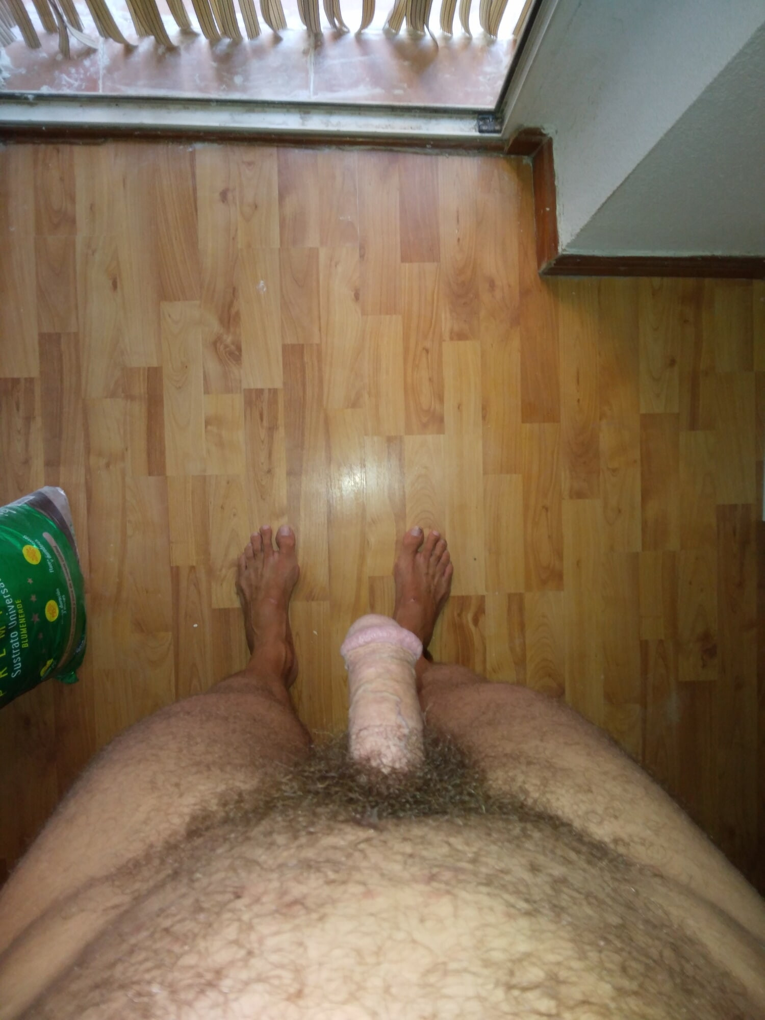 Empalmado al amanecer 
