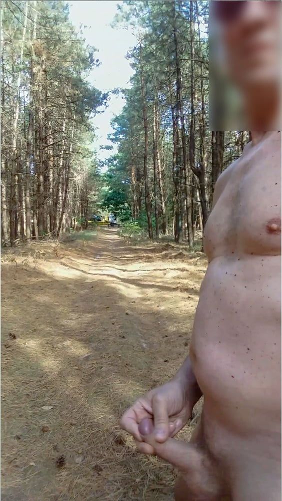exhibitionist naked jerking cumshot in the woods #5
