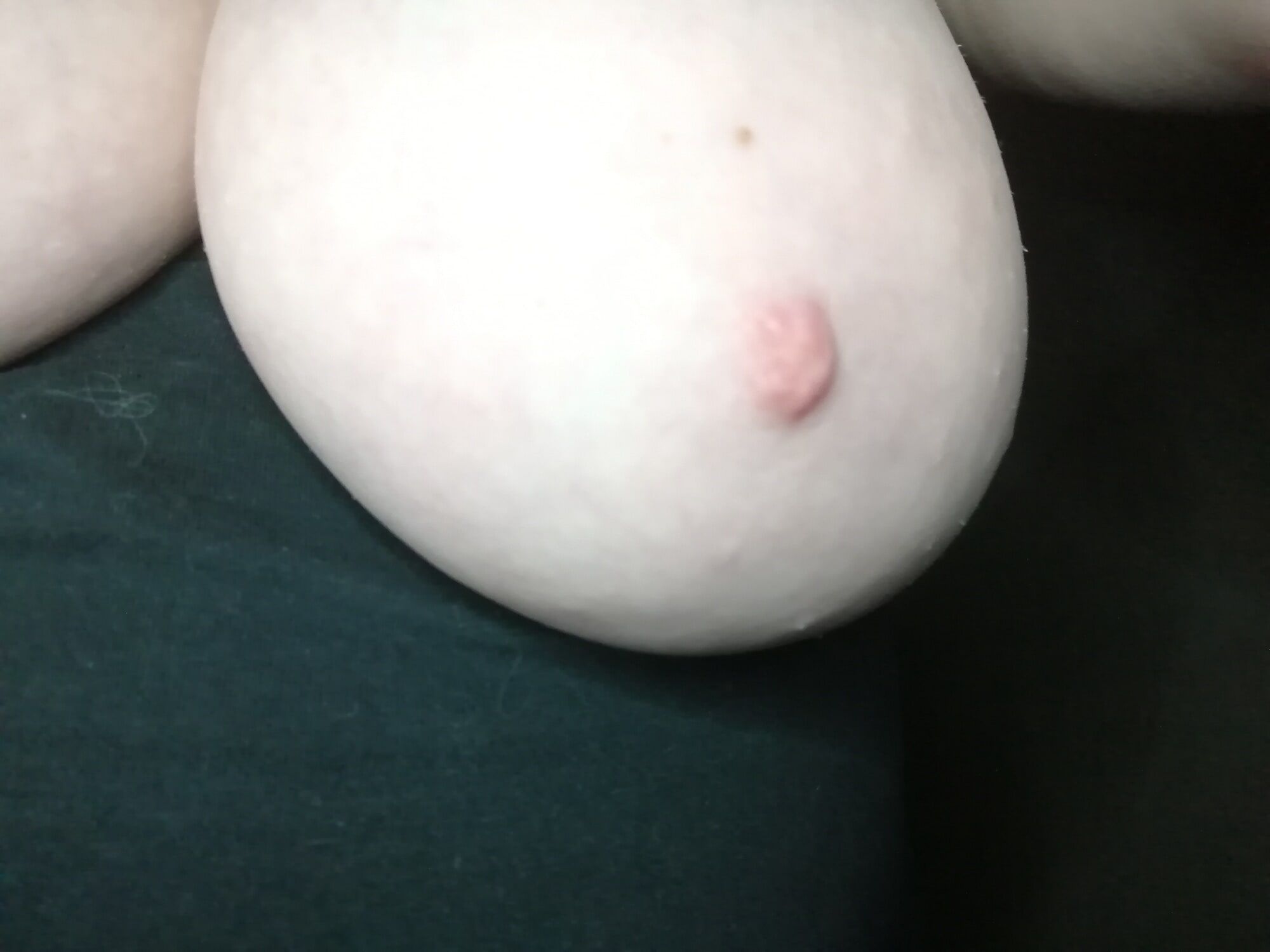 High-quality photos of my tits #10