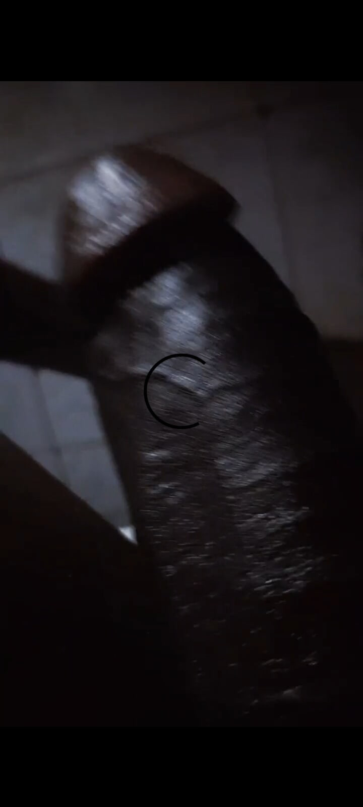 Lonely cock