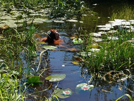 nude in lazy river         