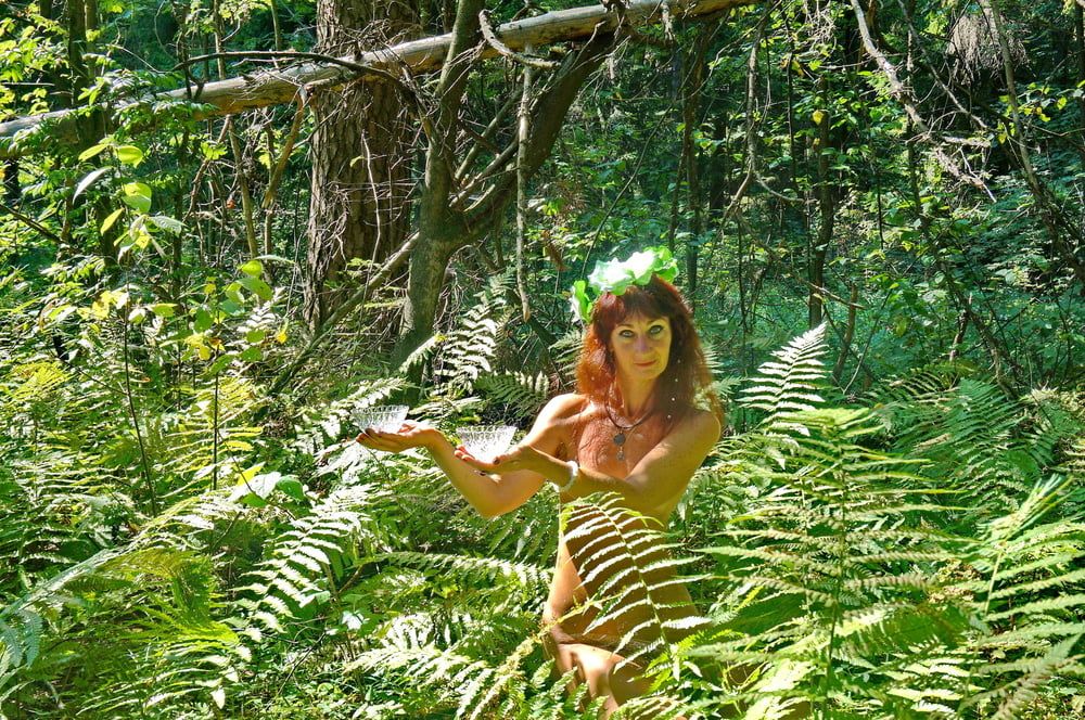 Forest Fairy #14