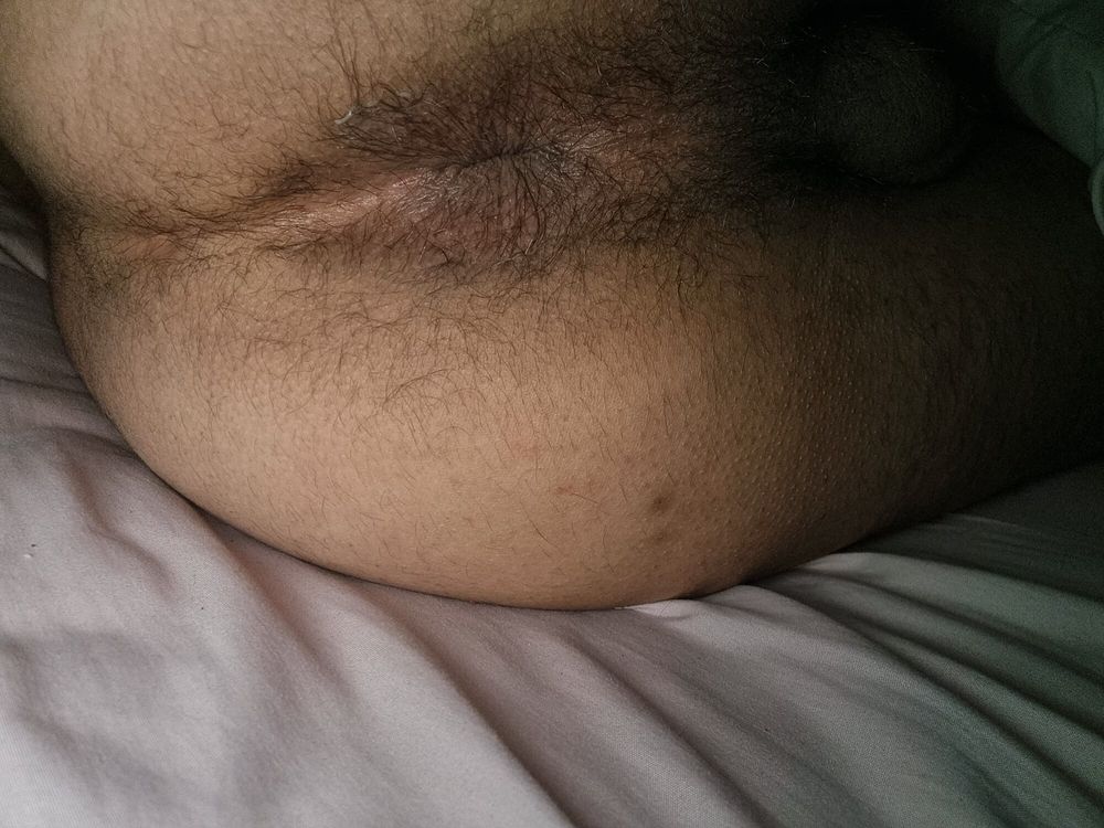 Rich hairy #4