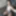 Hottie gets naked on bed and takes nudes #5