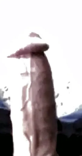 My DICK 