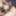 little glimpse of what you will see  #3