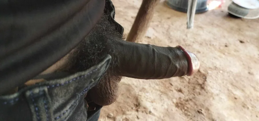 Cock #2