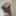 cutie Bree Free Photos