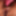 VERY UNUSUAL MOUSE NOSE NIPPLES GIRL GOT GIFT - KILO OF 🧀C #7