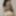 Free Violeta Photos