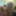 My cock (July-August 2025) #3
